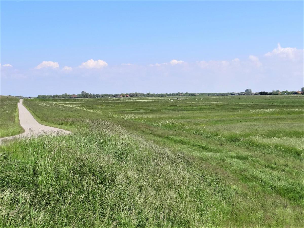 Vakantiewoning Grevelingen Villa Scharendijke Buitenkant foto